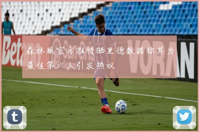 森林狼官方推特晒里德数据称其为最佳第六人引发热议
