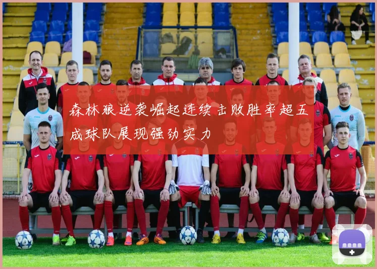 森林狼逆袭崛起连续击败胜率超五成球队展现强劲实力