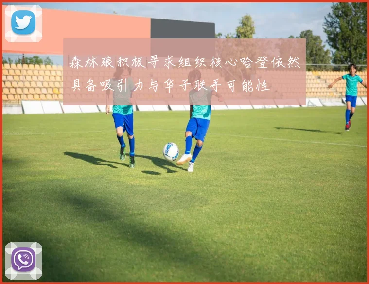 森林狼积极寻求组织核心哈登依然具备吸引力与华子联手可能性