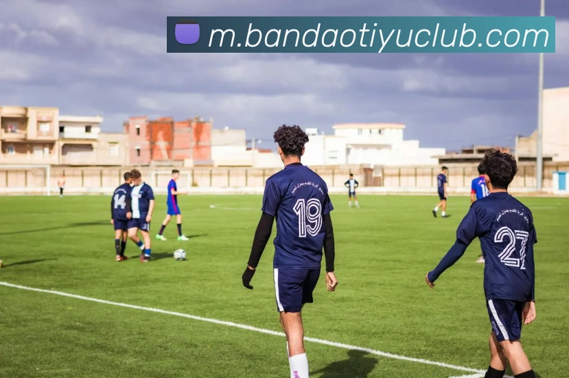 半岛体育平台生态图