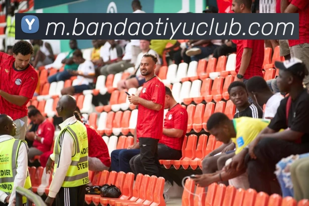 半岛体育APP 封面图